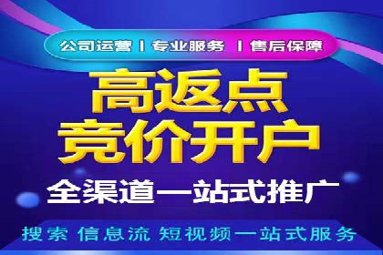 百度推广返点攻略：成功案例分享与启示